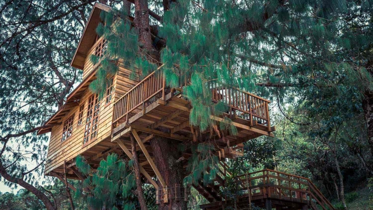 best treehouse on airbnb