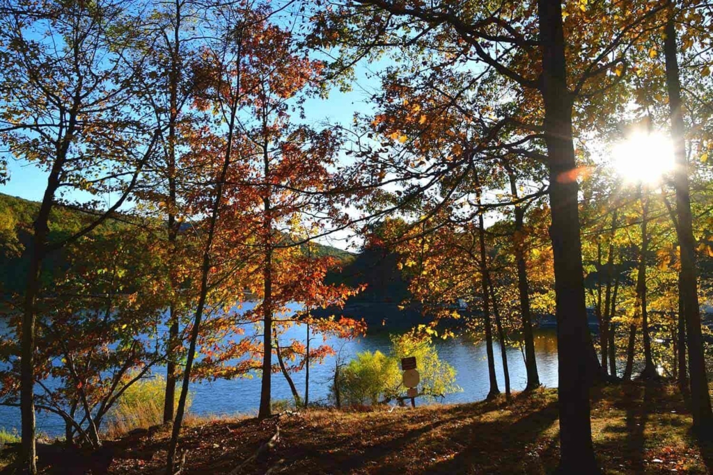 airbnb in upstate NY