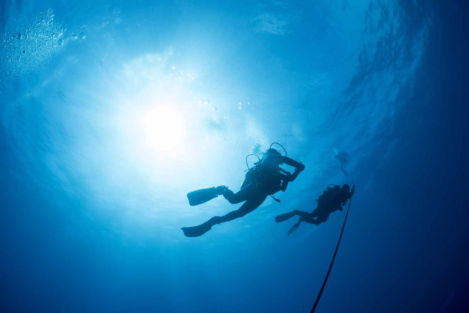 best dive shop tulum