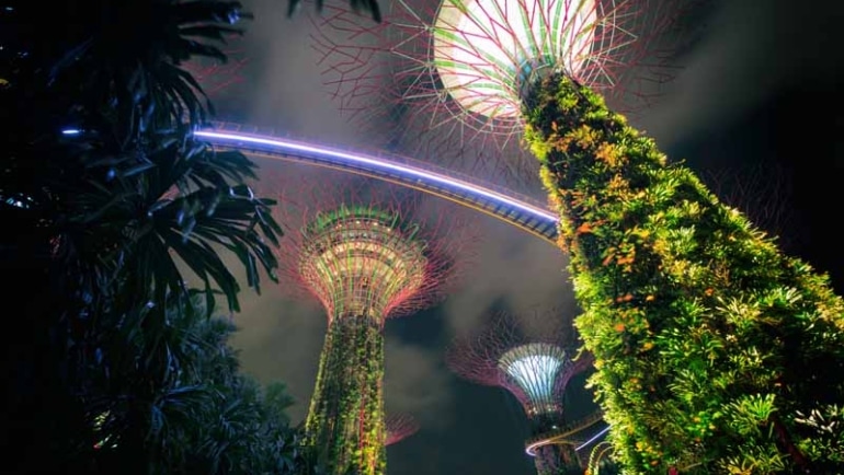 cheap flights to Singapore - Gardens At The Bay