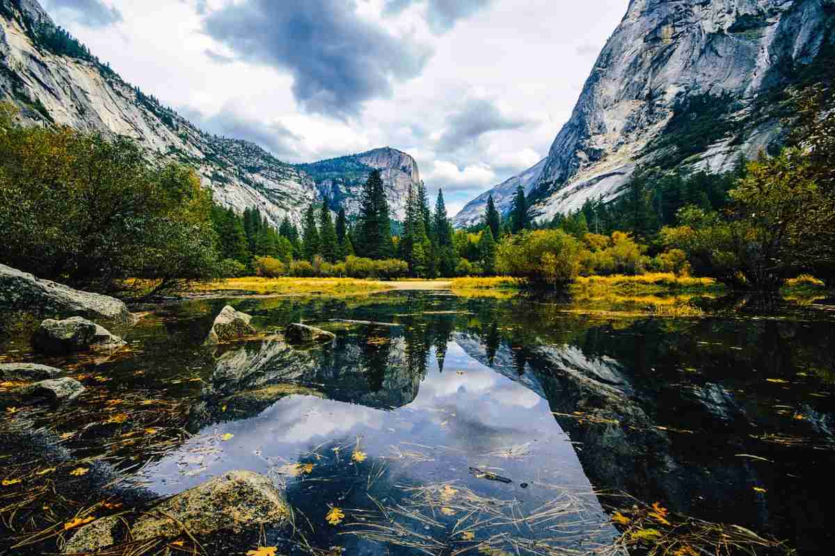 where-to-fly-into-yosemite-pigs-fly-cheap