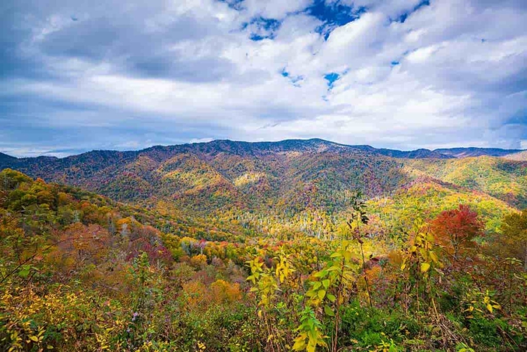 visit gatlinburg on a budget