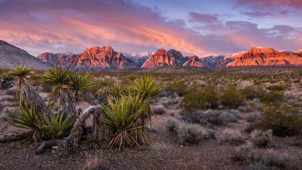 Things You Should Not Miss in Las Vegas - Air of Red Rock Canyon