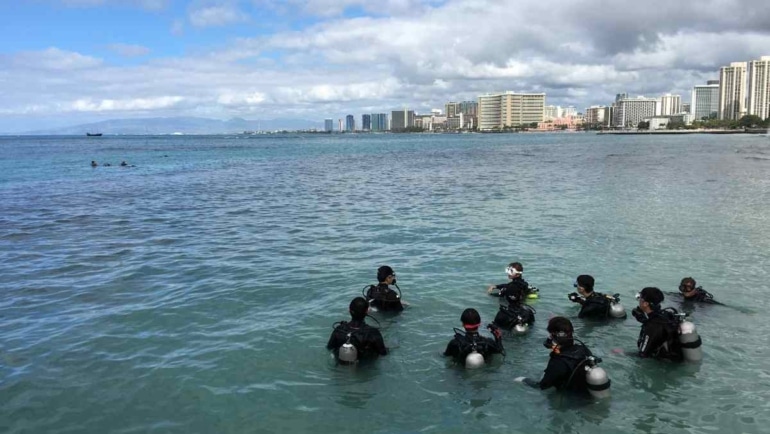 best dive shops in hawaii