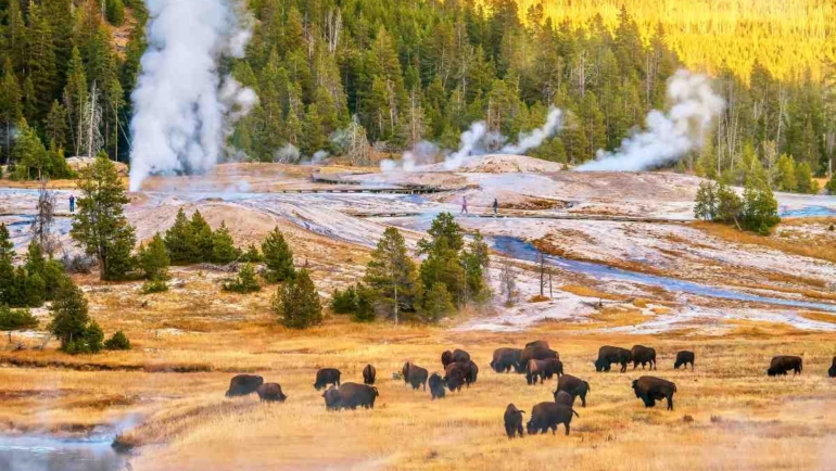 Guide to Visiting West Yellowstone