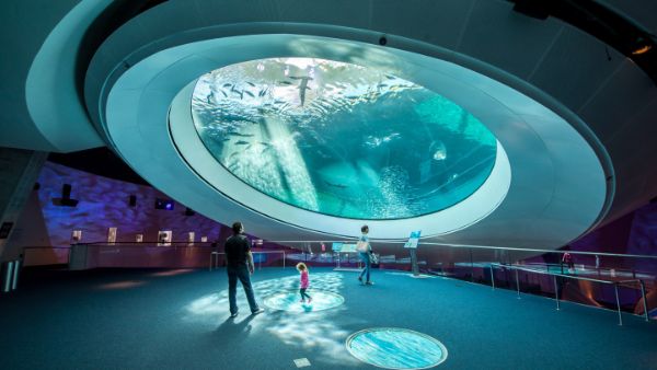 Visit the Phillip and Patricia Frost Museum of Science - Things to Do in Miami