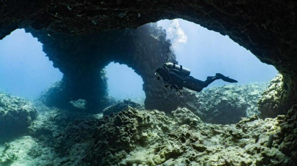 Kona Honu Divers - Dive Shops in Hawaii