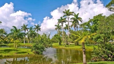 Nature Parks to Discover Near Miami