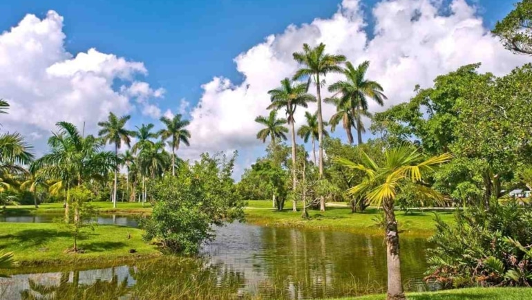 Nature Parks to Discover Near Miami