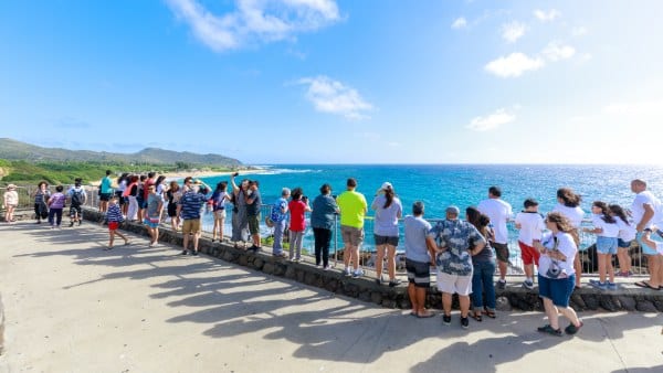 Ultimate Circle Island Tours - Tour Companies in Hawaii