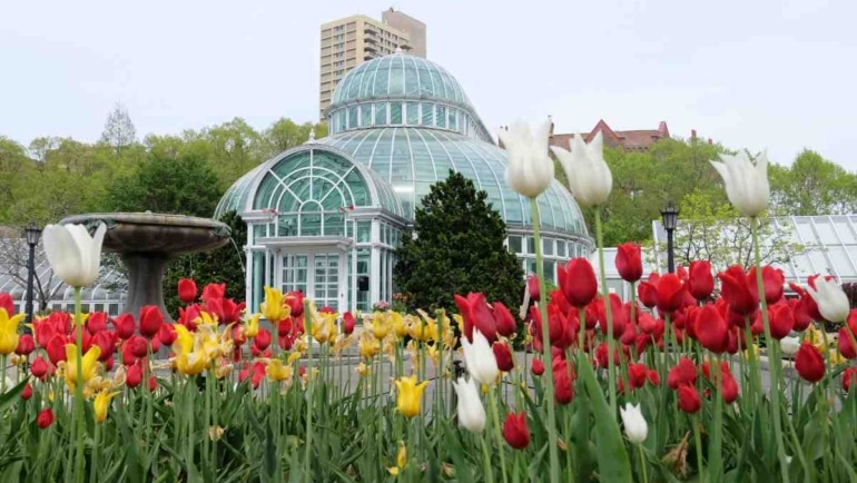 Visit the New York Botanical Gardens