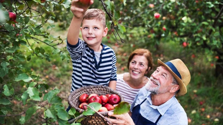 All Things Apple Picking