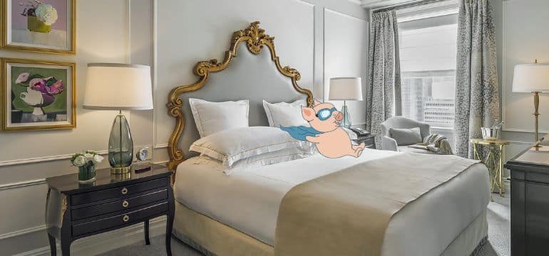 The Plaza Hotel - bed with Dapper Pig